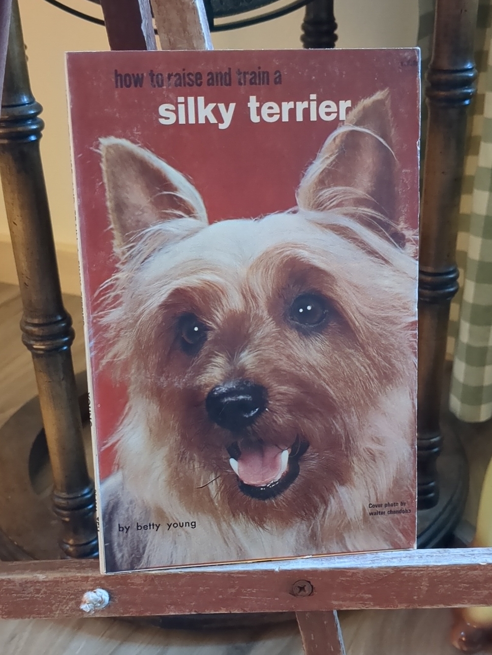 Silky Terrier Training Book — 1963 Betty Young paperback